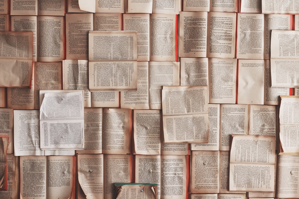 Training AI on Copyrighted Books: Courts Navigate the Complex Fair Use Horizon