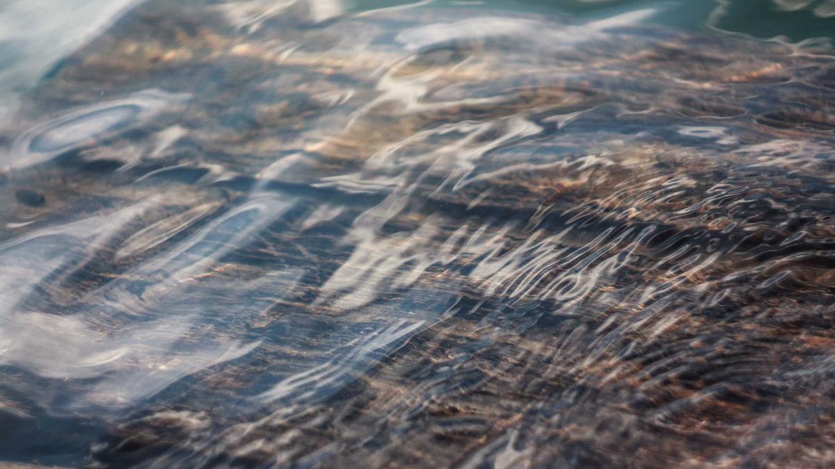 Rippling Unveils AI Employee ROI Analytics Tool After Spending Millions Internal AI