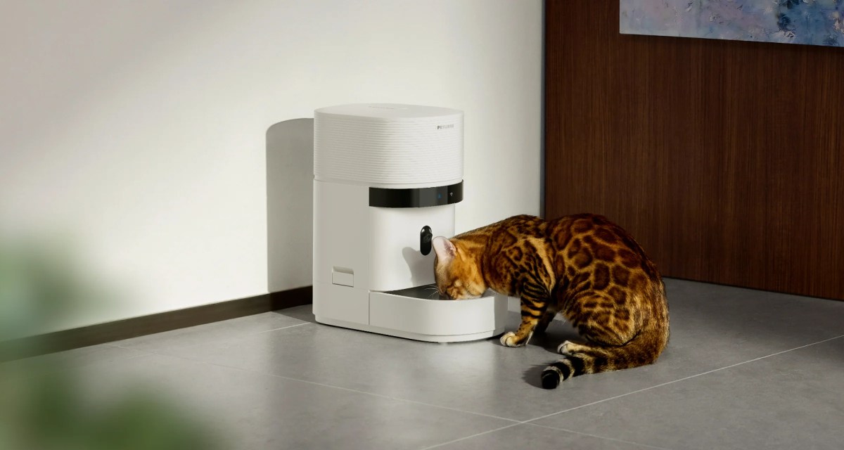 Popular Smart Pet Feeder Petlibro Suffers Major Cloud Outage, Disrupted Meals Worldwide