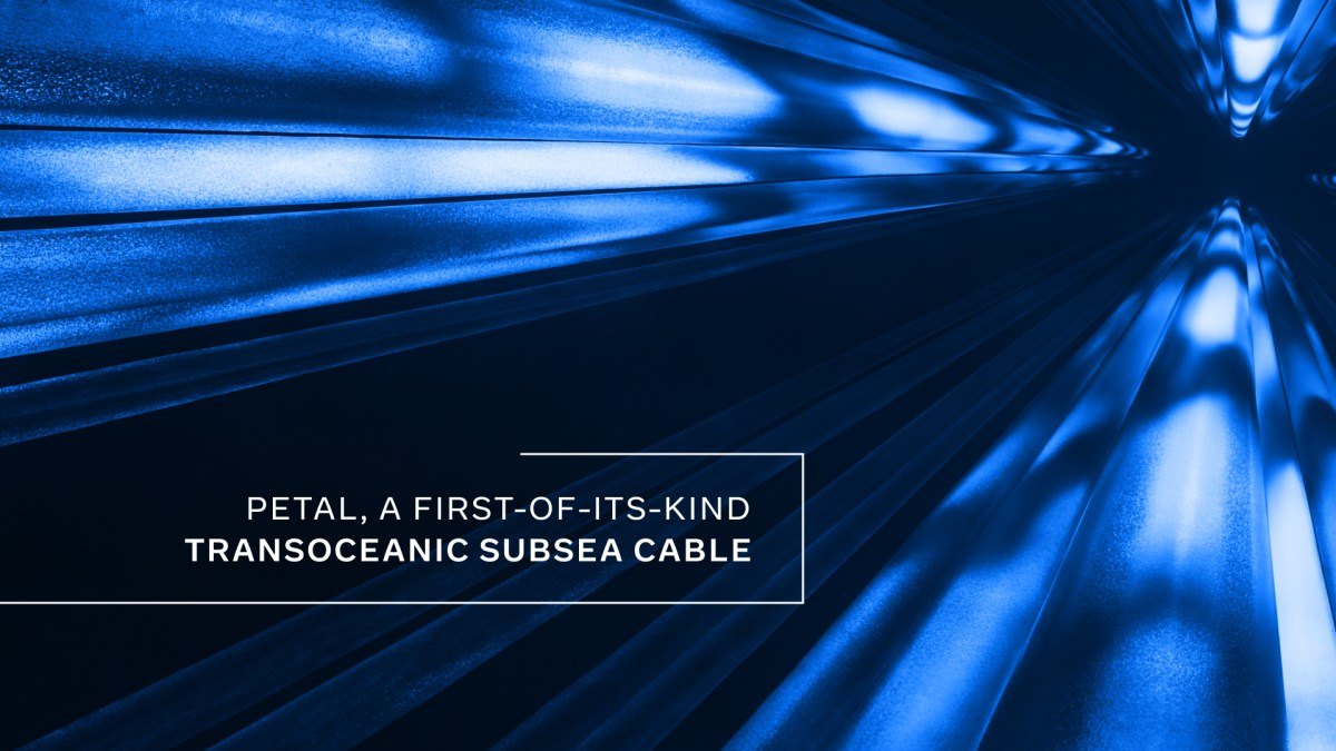 Meta announces Petal: We’re announcing Petal, the first subsea cable