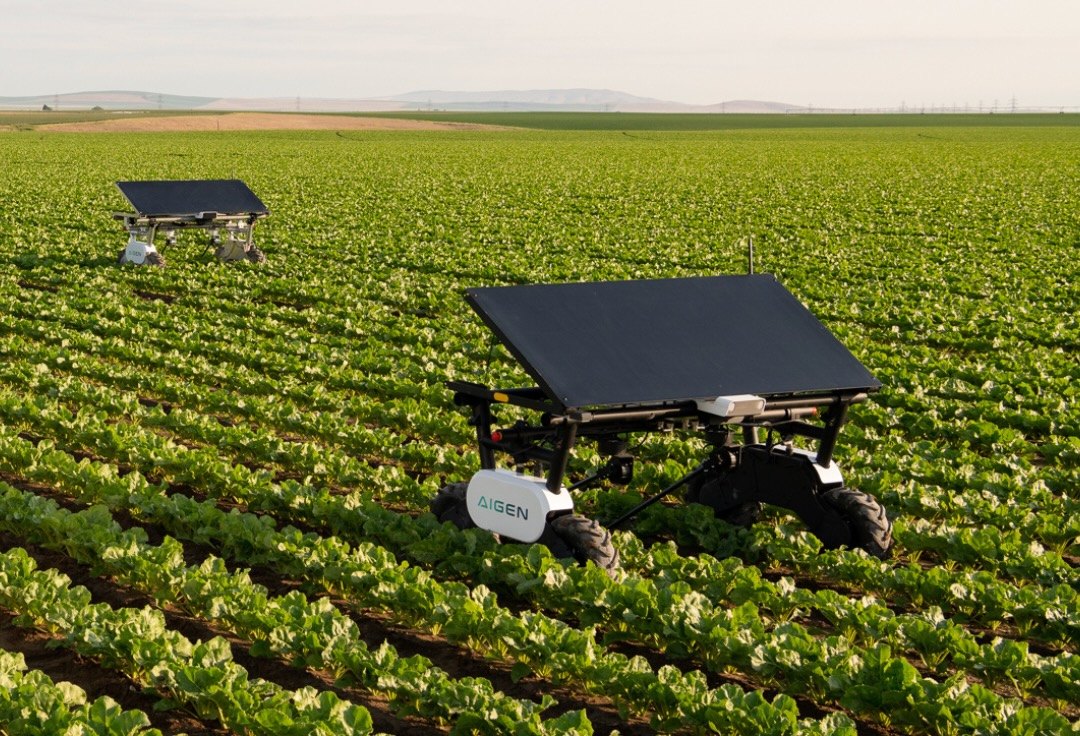 Data farmers: Ag-tech startup Aigen grows AI-generated weeds to train its