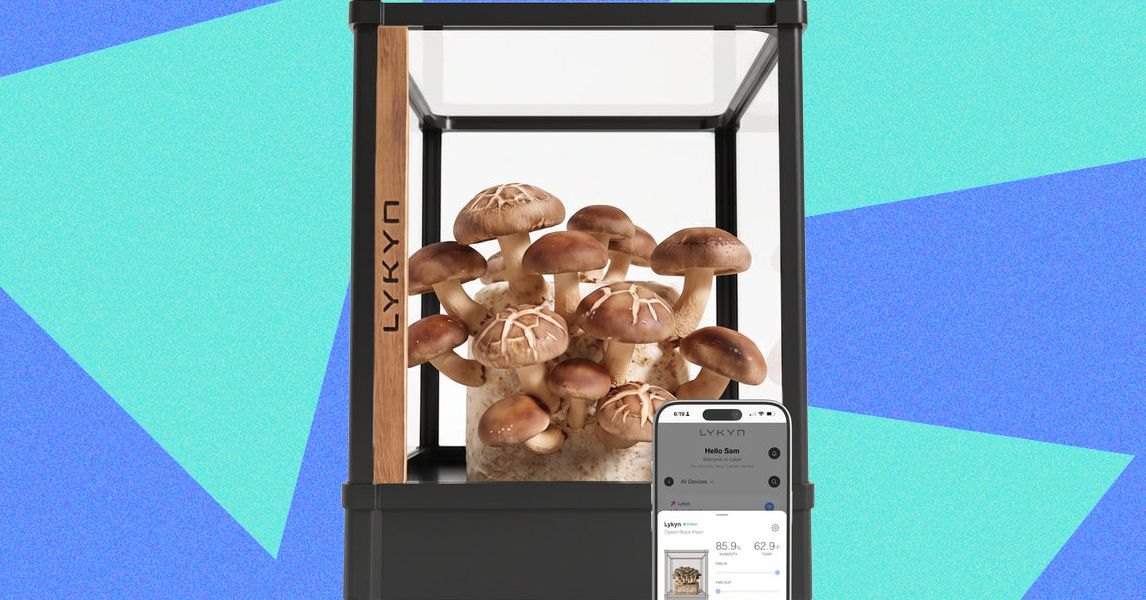 Lykyn Review: A Mushroom Garden Worth Showing Off
