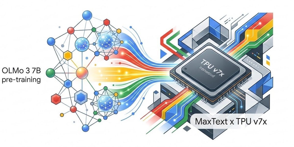 Reproducing OLMo 3 7B Pre-training in MaxText: case study of large scale