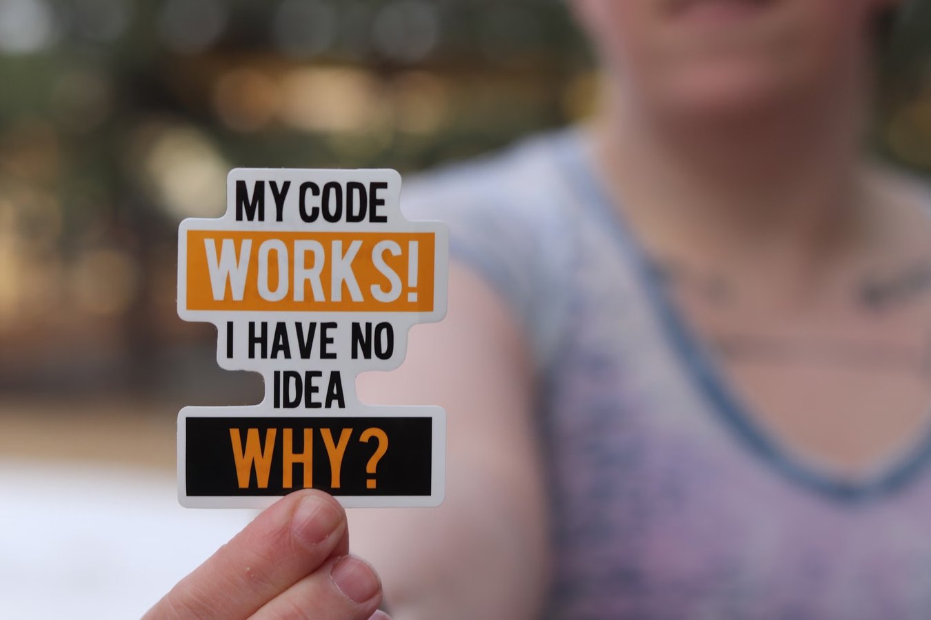 Why I Am a Programmer news update news update
