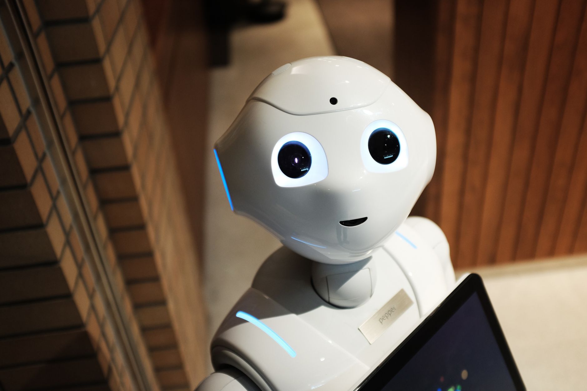 Tech Pulse Daily August 4 2026 — AI price wars, open-source models, and security alerts