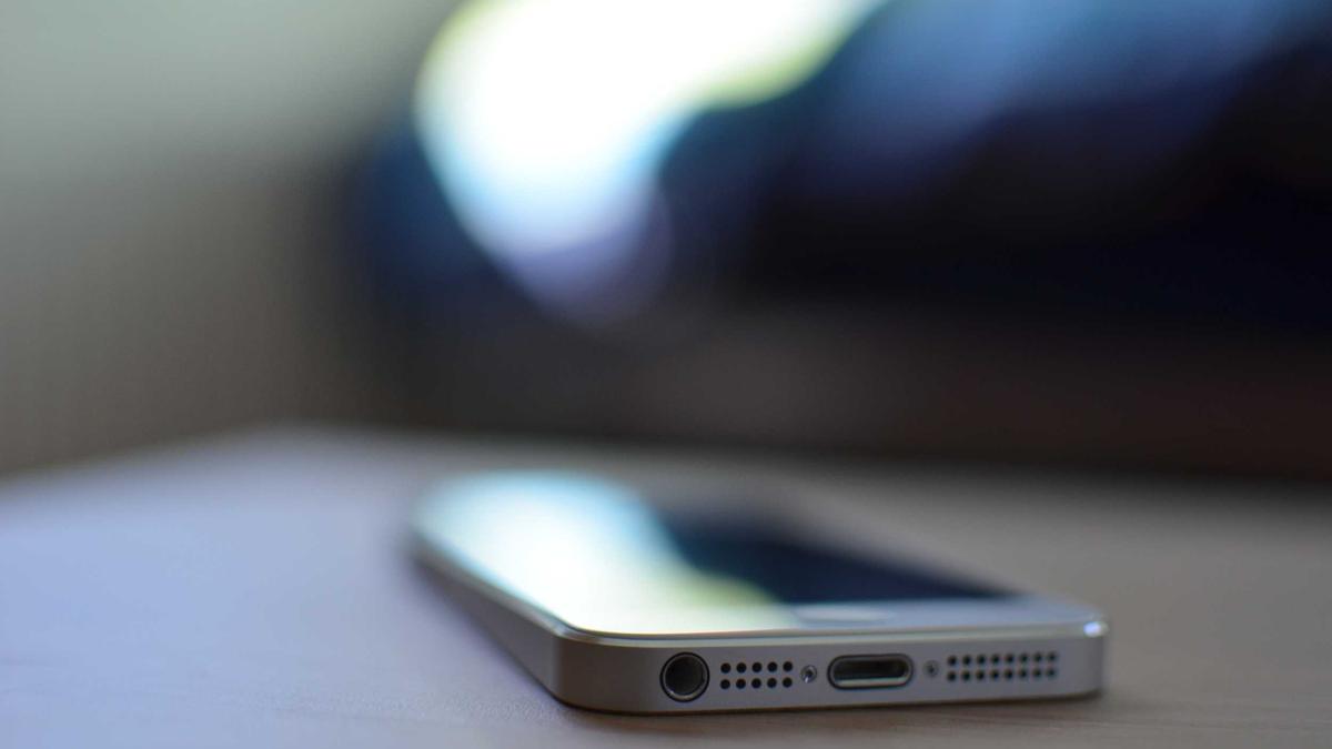 VC-Backed Startups Commit Fraud at Higher Rates, Research Shows